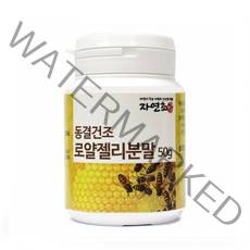 자연초 자연초 로얄젤리 분말 가루 중국산, 50g, 1개