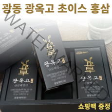 [사은품증정] 정품 당일배송 짜먹는 6년근 광동 제약 광옥고 초이스 산삼배양근 진액 스틱 홍삼 홈쇼핑 30포 1박스
