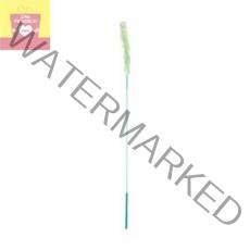 소_강아지풀_캐티맨 AD6D, 상세페이지 참조