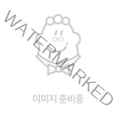 시의 진술과 비평적 도그마, 현대미학사, 제럴드 그라프