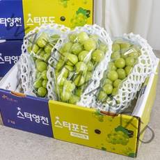 [샤인머스켓 포도] 2kg 품질포증 가정 선물 용 샤인머스캣 거봉 망고 청 포도 과일 실속 선물세트 3수 4 5수, 샤인머스켓 2kg( 4~5수 ) 실속형