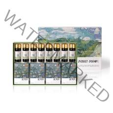 한삼인 건강담은 선물세트 + 쇼핑백, 1세트, 홍기천 50ml x 20포 + 홍삼기력 100ml x 8병