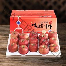 (산지직송) 밀양 얼음골사과 고당도 부사 5kg 10kg, 1box, 10kg 50~55(꼬마사과)