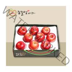 [장길영사과] 감홍 특대과 3kg(6~10과), 상세 설명 참조