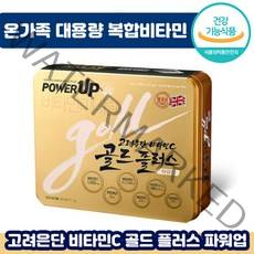 빠른배송추천 고려은단 비타민C 골드플러스 파워업 1130mg x 240정 대용량 멀티 종합 영양제 비타 씨 디 비오틴 비군 온 가족 선물 뼈 면역력 활력 피로 회복 도움 추천, 2박스