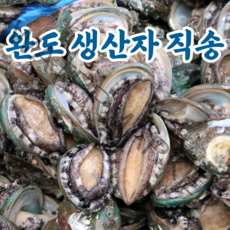 완도 전복 활전복 설 선물 세트 꼬마전복 명절선물 전복직거래 6미 7미 8미~50미 1kg, 1kg 41-50미