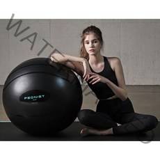 피어니스트 프리미엄 PRO 65 짐볼, 블랙