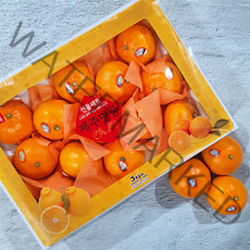 [산지직송] 고당도 제주 천혜향 프리미엄 선물세트, [품질보장] 천혜향 3kg 대과 [10-12과] 선물용