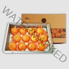 제주 천혜향 선물세트 4.5kg, 단품