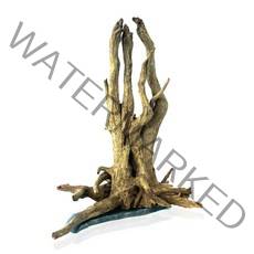 모비딕 네츄럴 루트 스톤유목, 1개