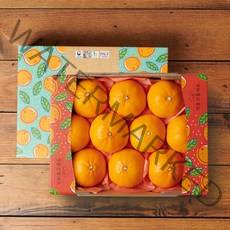 감동 제주 천혜향 1.6kg 10-12과 선물세트, 1개