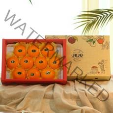 지장샘농장 제주 산지직송 천혜향 가정용 선물세트 2kg 3kg 5kg, 1box, 천혜향 선물세트 5kg (20과내외)