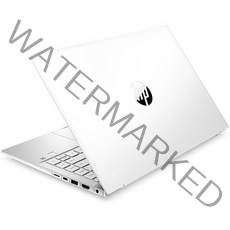 HP 2022 파빌리온 14, 256GB, Free DOS, 내츄럴 실버, 14-ec1010AU, 라이젠5, 8GB