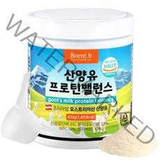 본트비 산양유 프로틴 밸런스, 420g, 1통
