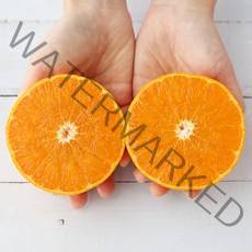 제주 천혜향 4.5kg 8kg 가정용 선물세트, 천혜향 선물용 2.5kg(8-11과)