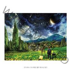 2000피스 고흐 별이빛나는밤 직소퍼즐, 2014피스