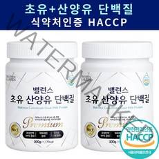 고함량 밸런스 초유 산양유 단백질 락토페린 식약처인증 BCAA 유청 대용량 프로틴 스푼 증정, 초유 + 산양유단백질 2통