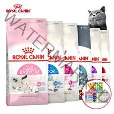 로얄캐닌 고양이사료 2kg 1.5kg 마더앤베이비 키튼 인도어7 센서블 오랄 유리너리 라이트웨이트 헤어앤스킨 세이버 프로틴 스테럴라이즈드 헤어볼, 2.키튼 kg /24.06, 크리미츄르2종+사료보관지퍼백1개 증정