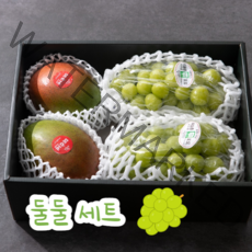 [ 추석선물 ] 가성비 갑 샤인머스켓 특품+애플망고 둘둘 선물세트, 애플망고와 선물용 샤인머스켓 특품