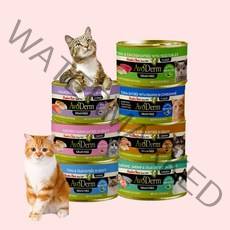 아보덤 주식캔 고양이 습식사료 그레인프리 85g 24개, 연어& 치킨 85g