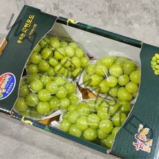 농장직송 프리미엄 샤인머스켓 명절 선물세트, 품질보장 특상 실속 2kg (4-5수)