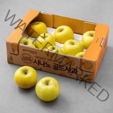 곰곰 시나노골드 사과, 2kg, 1박스