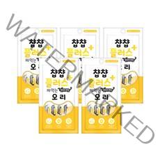 인터펫코리아 챱챱플러스 짜먹는 강아지 유산균 파우치 60g, 오리맛, 5개