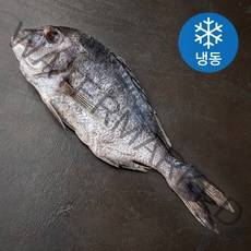 아라보감 맛 좋기로 소문난 남해 미조 반건조 찜용 제수용 참돔 (냉동), 500~700g, 1개