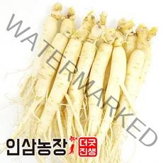 더굿진생 금산 인삼 수삼 세척 원수삼 실속형, 1개, 세척인삼300g(9~12뿌리)