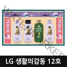 엘지생활건강 생활의 감동 12호 선물세트, 1세트