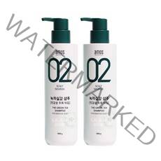 아모스 녹차실감 샴푸 민감성 500g 1+1, 2개, 500g x 2개