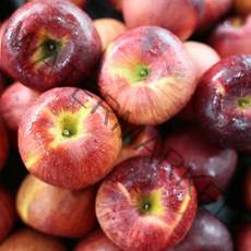 주스용 쥬스용 사과 착즙용 10kg, 주스용사과10kg, 1개