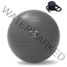 이고진 짐볼 + 발 펌프, 다크그레이