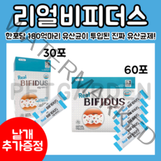 리뉴얼된 최신제품! 리얼비피더스 강아지 유산균 + 낱개 증정, 1개, 리얼비피더스 60g(2g*30포)