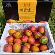 제주농부 산지직송 고당도 제주 미니애플망고 500g (4-8입), 단품