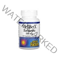 내추럴팩터스 WellBetX 베르베린 500mg 60정 120정, 60개입, 1개