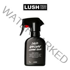 러쉬 대드스 가든 레몬 트리 바디 스프레이 과일향, 200ml, 1개