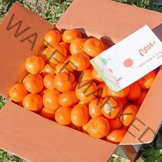 [품질보증] 인하네 제주 감귤 3kg 서귀포 제철 하우스 비가림 귤, 1box, 03. 3kg감귤(중대귤)L~2L