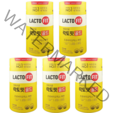 락토핏 생유산균 골드 LACTO 5X 프로바이오틱스 아연 유산균 1박스 50포, 5통 (250일분), 1개