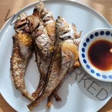 햇 도루묵 조업시작 속초 고성 조업 알도루묵 생물 생선 구이 반건조 알배기, 급냉 알도루묵 10미