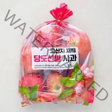 고산지 재배 당도선별 사과, 1.5kg, 1봉