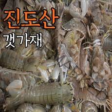 국내산 진도 활 갯가재 1kg 22미~27미