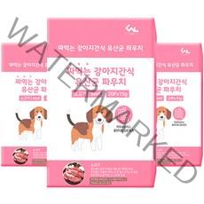 씨엔앨라이프 짜먹는 강아지간식 유산균 파우치 스틱 15g x 20p, 3개, 소고기