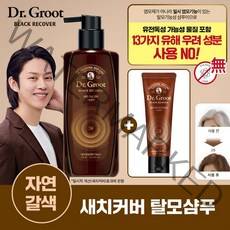 [자연갈색] 닥터그루트 블랙리커버 새치커버 샴푸 400ml+트리트먼트 150ml, 단품