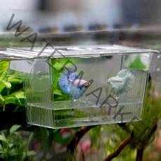 부화통 구피 치어 열대어 격리통 어항 수족관 부화기 수족관부화통 열대어부화통 쿠피부화통 미니부화통 치어부화통 치어통 산란통 치어받이