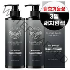 테라픽 체인지 블랙 샴푸 450ml, 2개
