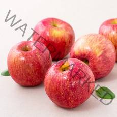 곰곰 GAP 고당도 사과 (산지 안동), 1.3kg, 1개