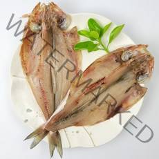 동해안 반건조 임연수 10마리 (22~26cm) & 반건조 물가자미(20~24cm내외) 선택구매, 동해안 반건조 임연수 10미(중소)