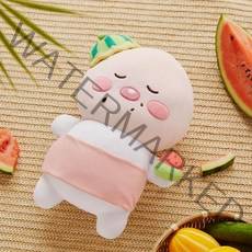 카카오프렌즈 초록방학 낮잠 필로우 인형 수박 어피치