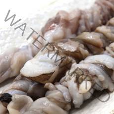 [통영삼공주]낙지호롱1kg(24-26p)